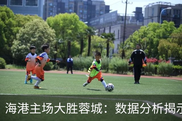 海港主场大胜蓉城：数据分析揭示实力差距